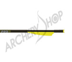 Gold Tip Bolts Ballistic Pro 22"