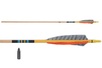 Poc - Bearpaw Arrows Wood Cedar 55/60Lbs 11/32 32"Bearx400 Clear-YellowCrown 12/Pk