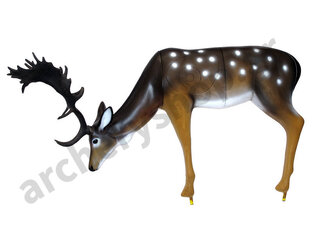 SRT Target 3D Fallow Deer Grazing
