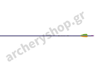 Easton Arrow XX75 Jazz Purple Purple