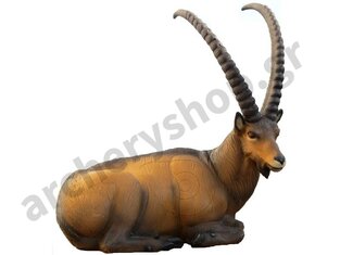 SRT Target 3D Ibex bedded