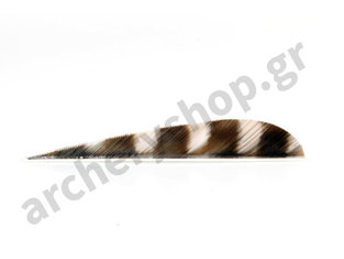 Trueflight Feathers 4" Parabolic Barred