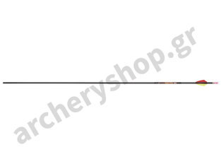 Carbon Express Shaft Nano-Pro RZ