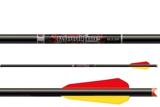 Easton Bolts Bloodline 22" Carbon - 3BTV Vanes - Flat Nocks - HP-Insert 6/PK