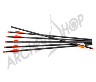 CenterPoint Bolts Carbon 20"