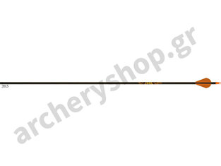 Gold Tip Shaft Ultralight Entrada