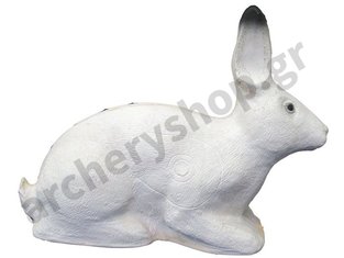SRT Target 3D Polar rabbit