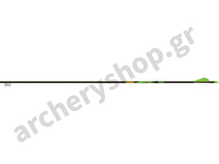 Gold Tip Shaft XT Hunter