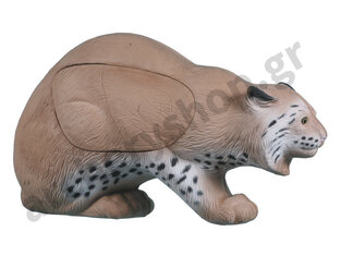 Rinehart Target 3D Bobcat