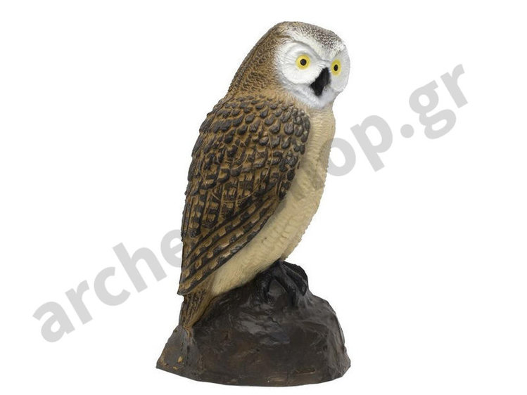 SRT Target 3D Little Screech Owl