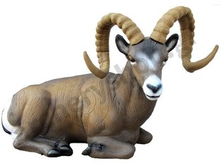 SRT Target 3D Rocky Mountain sheep bedded