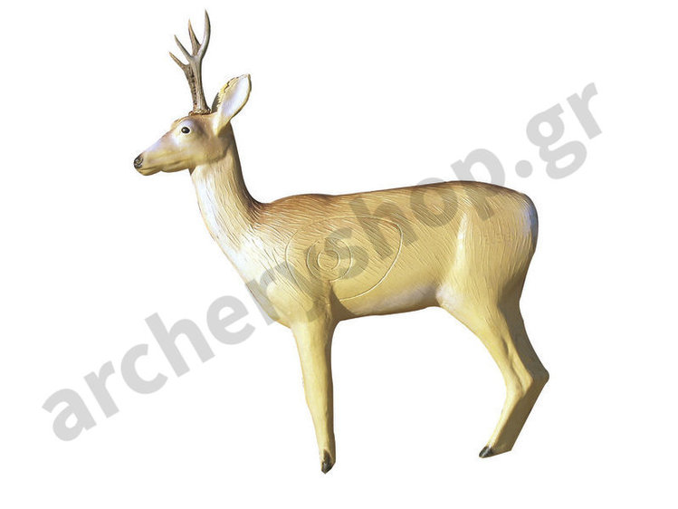 Eleven Target 3D Deer with Horns