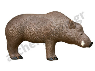 Rinehart Target 3D Woodland Boar