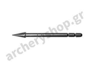 Carbon Express Pin Points .166